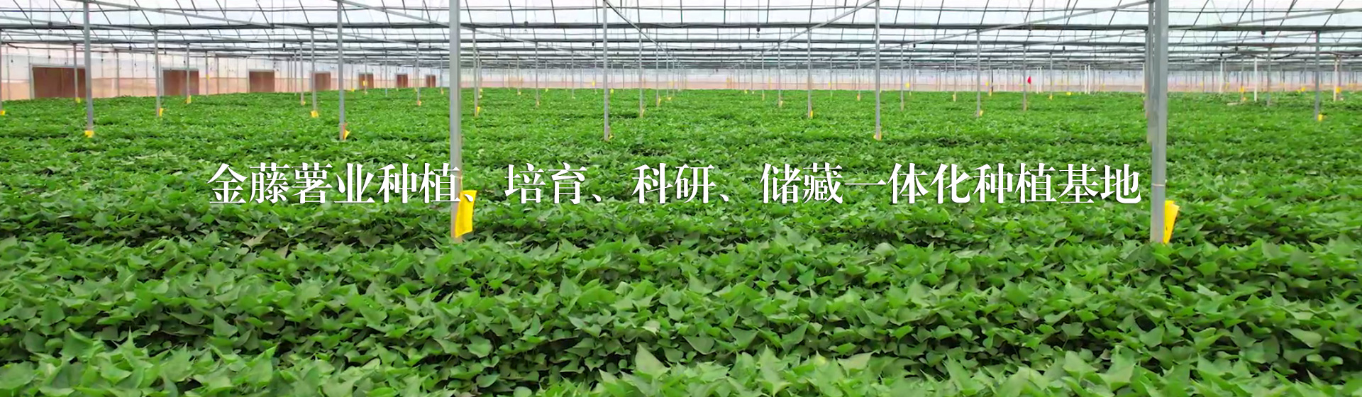 資質(zhì)榮譽(yù)