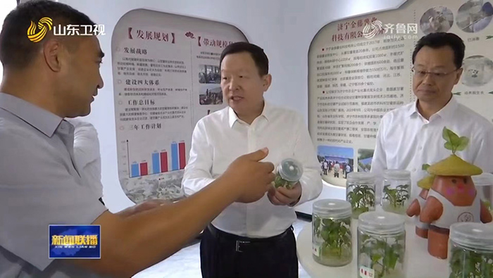 山東省委副書記、省長周乃翔到金藤公司調(diào)研汶上縣甘薯產(chǎn)業(yè)發(fā)展情況