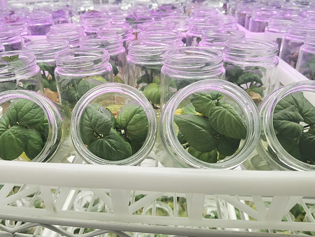 實(shí)驗(yàn)室