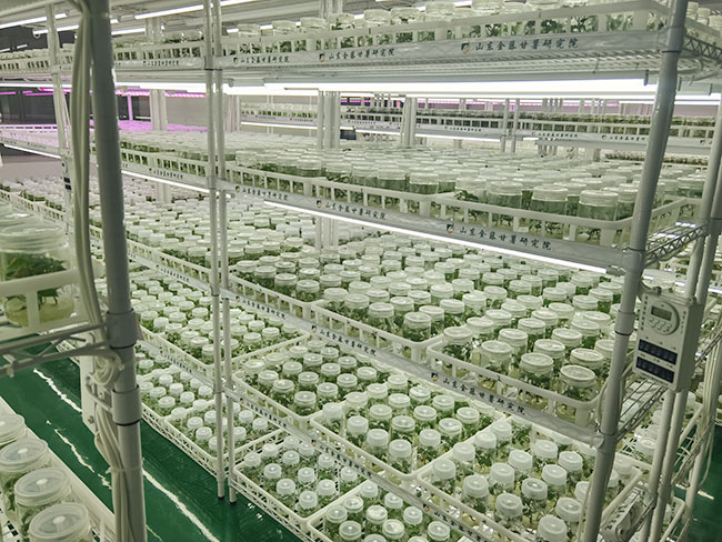 實(shí)驗(yàn)室