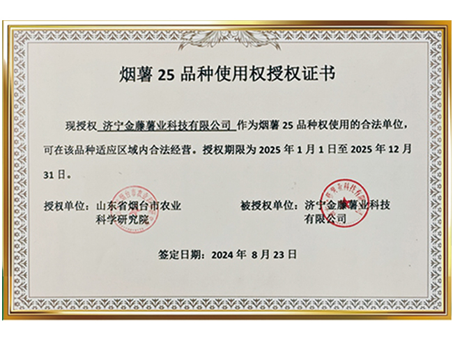 煙薯25品種使用權(quán)授權(quán)證書
